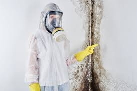 Best Emergency Mold Remediation  in Seagraves, TX